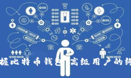全面掌握比特币钱包：高级用户的终极指南